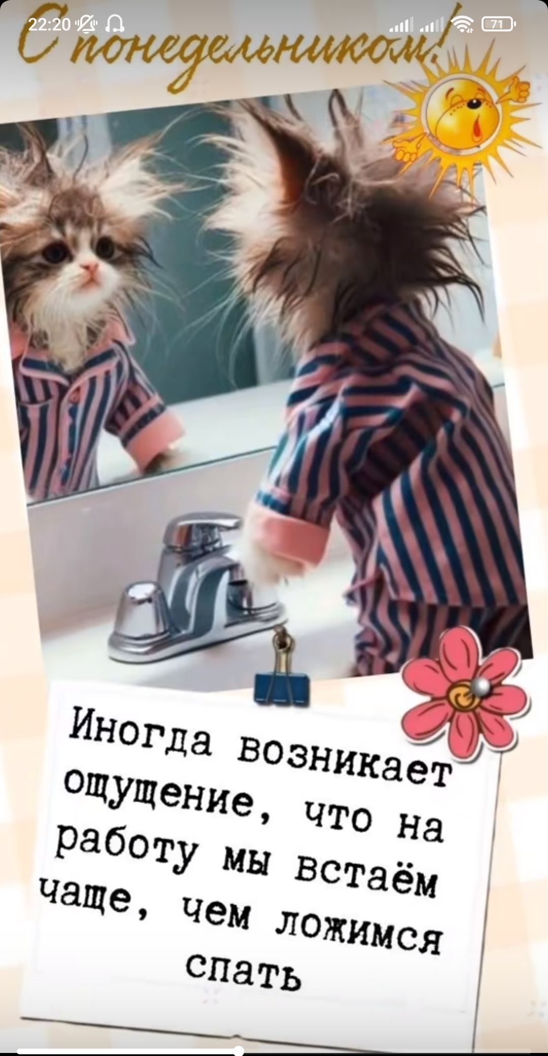 Открытка «С добрым утром»: Доброе утро: когда понедельник особенно пушист!. Тэги: кот, животное, пожелание, позитивная…