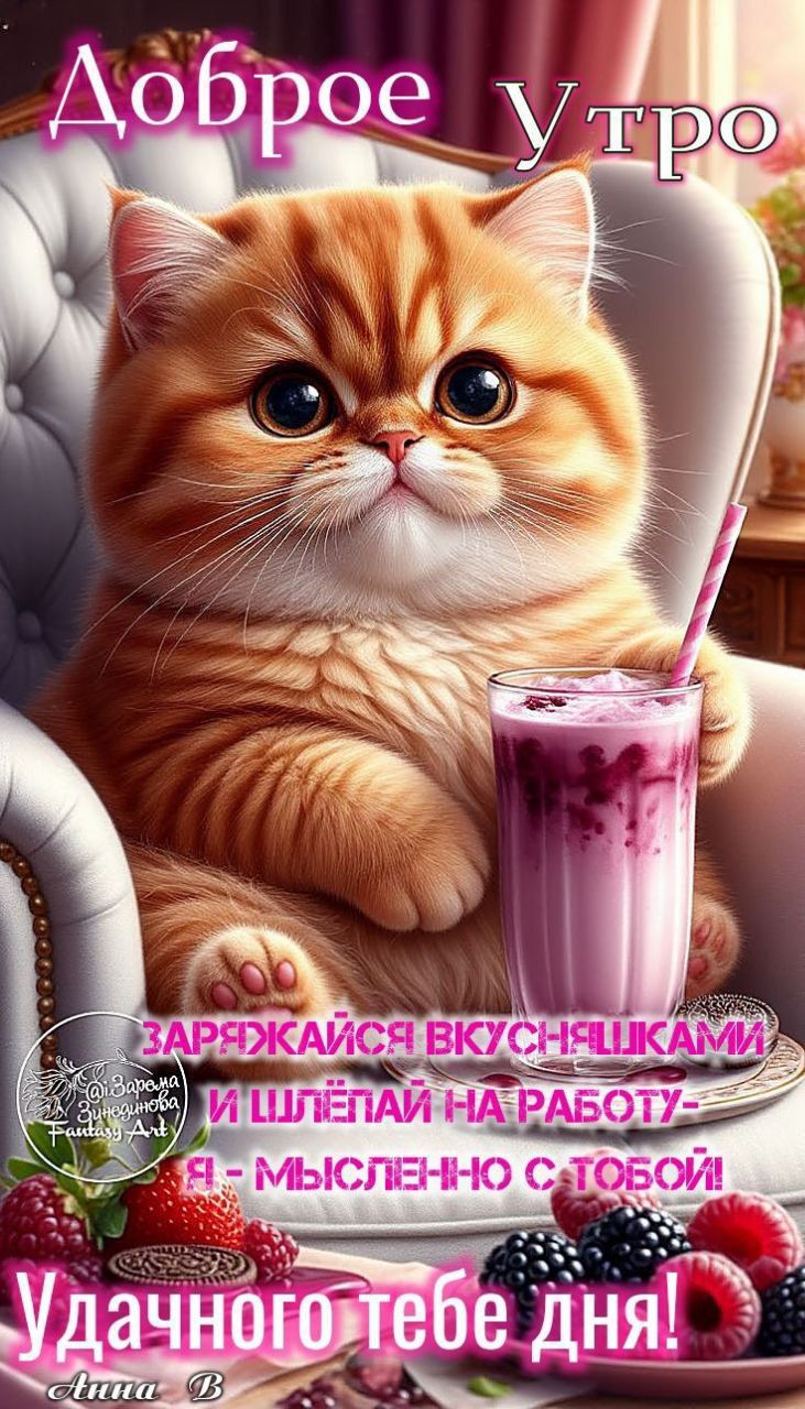 Открытка «С добрым утром»: Доброе утро с милым котиком и сладкими пожеланиями. Тэги: кот, животное, пожелание, позити…