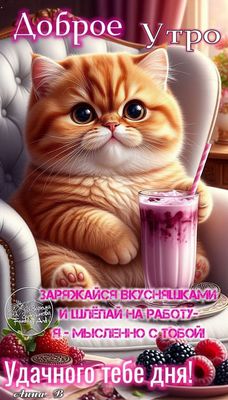 Открытка «С добрым утром»: Доброе утро с милым котиком и сладкими пожеланиями. Тэги: кот, животное, пожелание, позити…