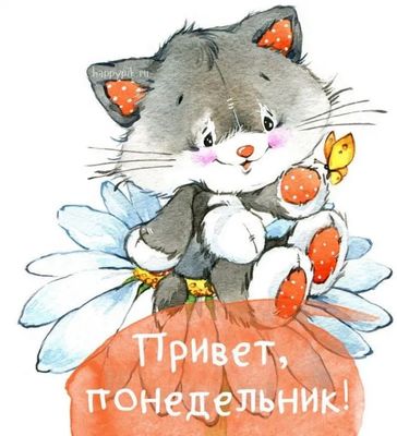 Открытка «С добрым утром»: Привет, понедельник! Нежное доброе утро. Тэги: хорошего дня, кот, животное, пожелание…
