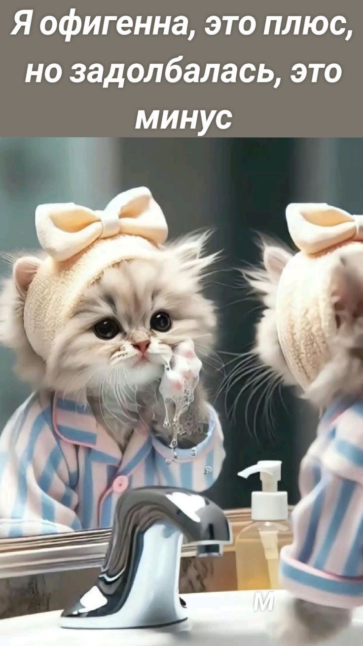 Открытка «С добрым утром»: С добрым утром: Я офигенна, но задолбалась!. Тэги: кот, животное, пожелание, юмор, утро…