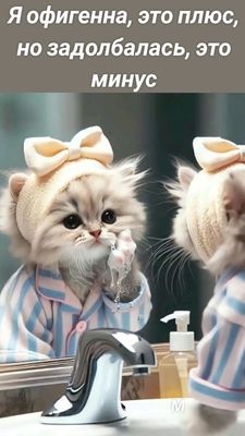 Открытка «С добрым утром»: С добрым утром: Я офигенна, но задолбалась!. Тэги: кот, животное, пожелание, юмор, утро…