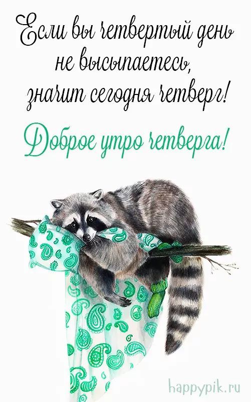 Открытка «С добрым утром»: С добрым утром четверга! Сонный енот желает сил. Тэги: животное, пожелание, позитивная…