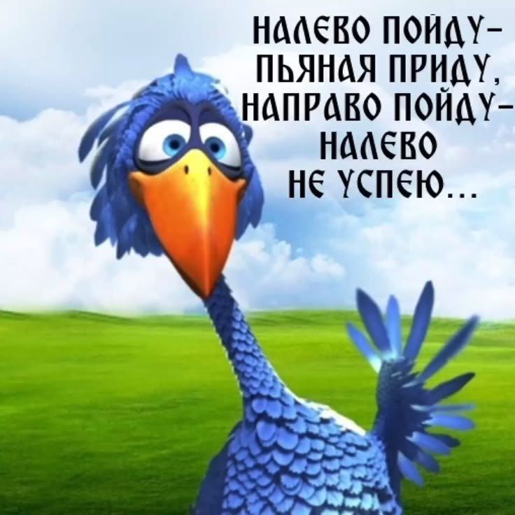 Открытка «С добрым утром»: С добрым утром: Птица и весёлый выбор. Тэги: животное, позитивная, отличное настроение…