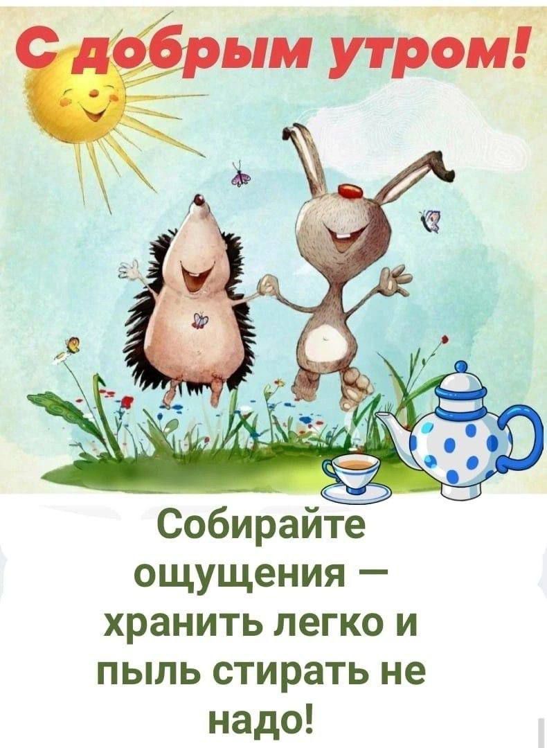 Открытка «С добрым утром»: С добрым утром! Радость, друзья и позитивные ощущения. Тэги: животное, пожелание, отличное…