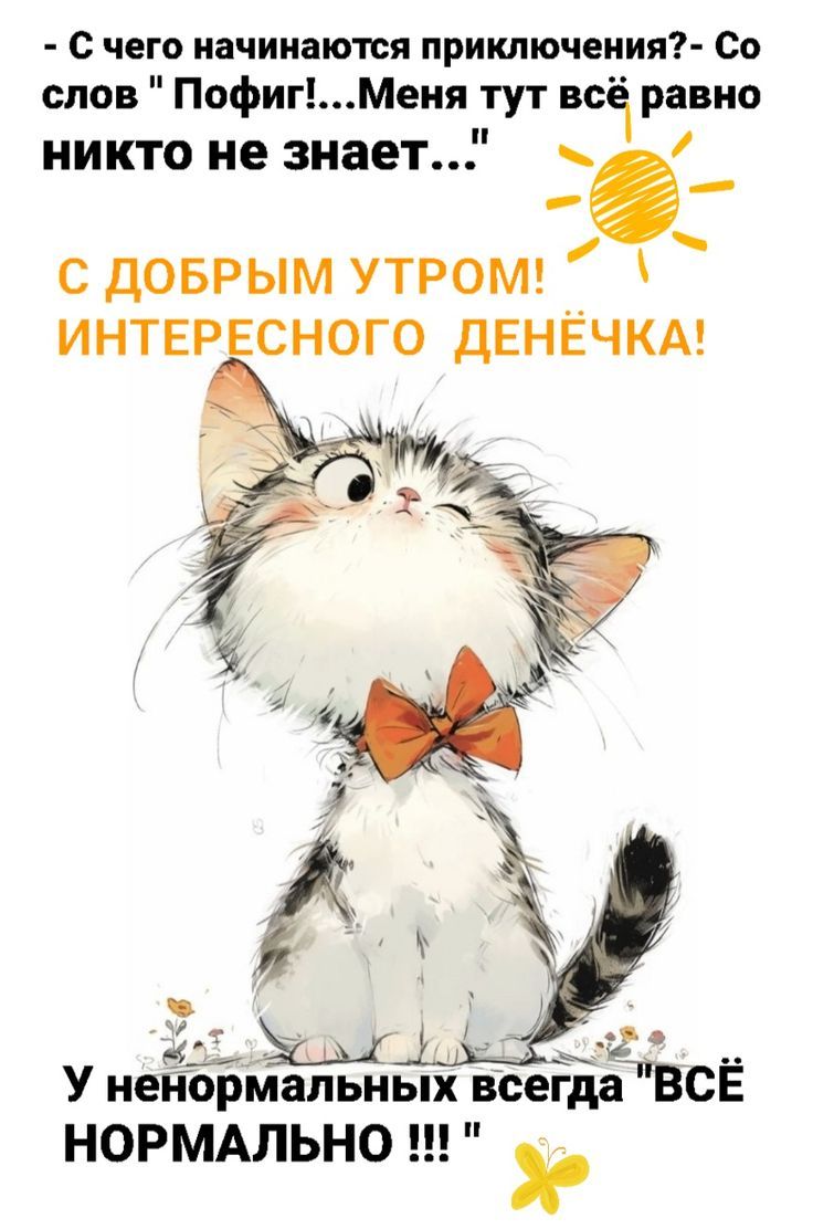 Открытка «С добрым утром»: С добрым утром! Игривый котик и юмор для приключений. Тэги: кот, животное, пожелание…