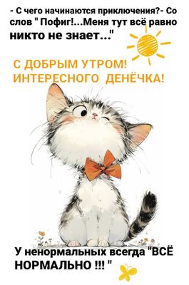 Открытка «С добрым утром»: С добрым утром! Игривый котик и юмор для приключений. Тэги: кот, животное, пожелание…