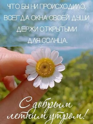 Открытка «С добрым утром»: Пусть окна души будут открыты солнцу! С летним утром!. Тэги: пожелание, позитивная, хороше…