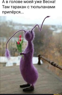 Открытка «С добрым утром»: С добрым утром! Когда в голове Весна и тюльпаны. Тэги: пожелание, позитивная, хорошего дня…