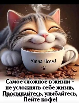Открытка «С добрым утром»: Улыбчивый кот, кофе и пожелания доброго утра. Тэги: кот, животное, пожелание, отличное нас…