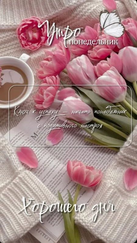 Открытка «С добрым утром»: Нежное утро понедельника: ключ к успеху и позитиву. Тэги: пожелание, позитивная, красивая…