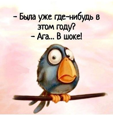 Открытка «С добрым утром»: С добрым утром: Птица в шоке от этого года!. Тэги: животное, пожелание, юмор, утро, друг…