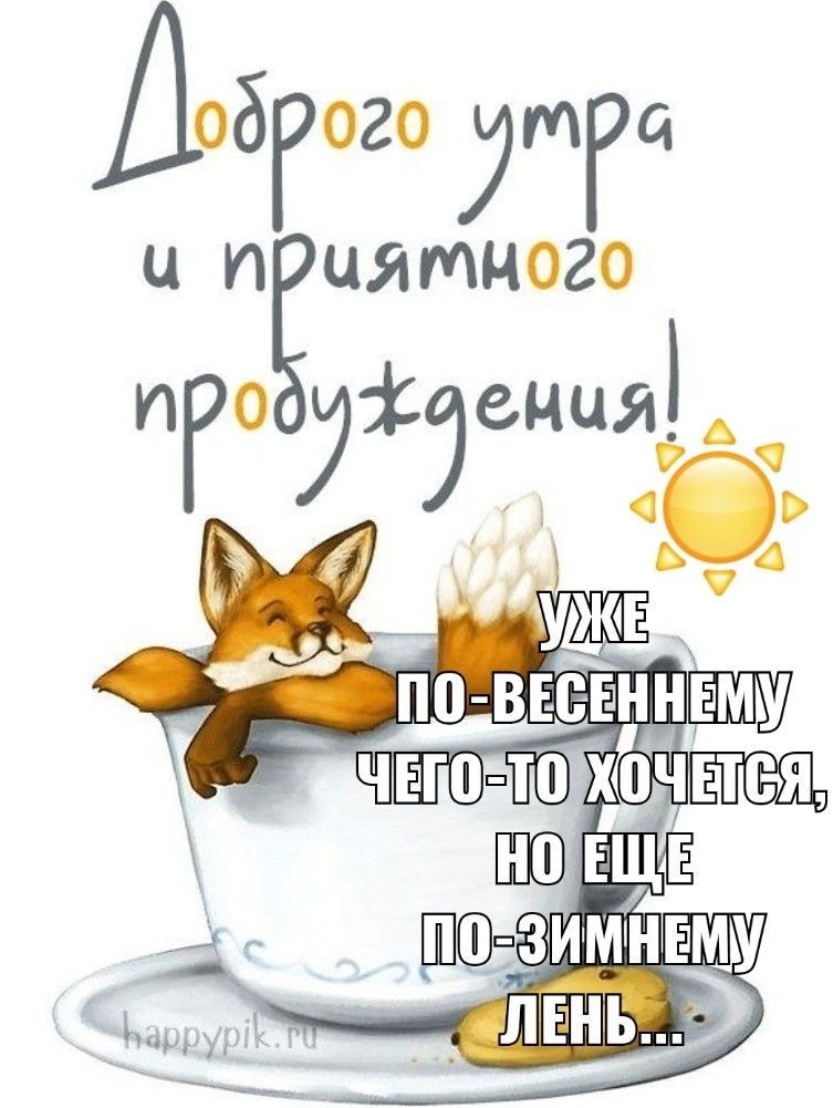 Открытка «С добрым утром»: Лисенок в чашке: доброе утро, весна и лень. Тэги: животное, пожелание, позитивная, отлично…