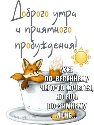 Открытка «С добрым утром»: Лисенок в чашке: доброе утро, весна и лень. Тэги: животное, пожелание, позитивная, отлично…