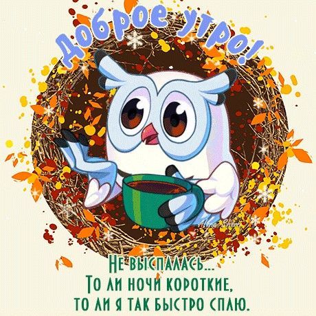 Открытка «С добрым утром»: Доброе утро! Сова-невыспашка и кофе.. Тэги: животное, пожелание, позитивная, хорошего дня…