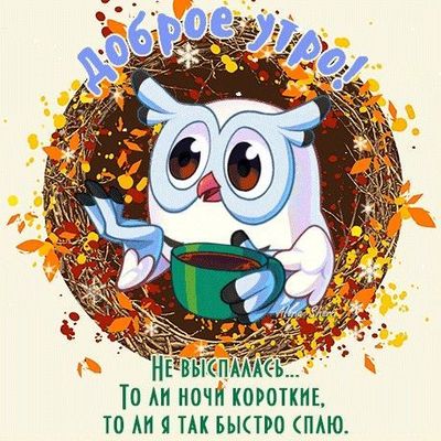Открытка «С добрым утром»: Доброе утро! Сова-невыспашка и кофе.. Тэги: животное, пожелание, позитивная, хорошего дня…