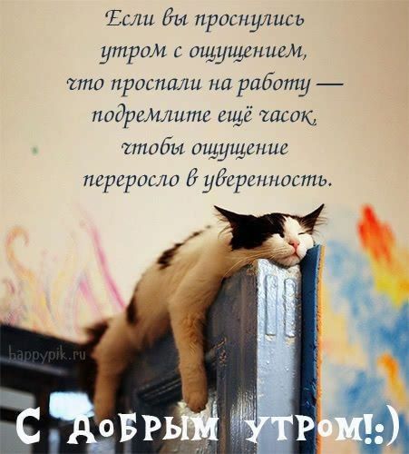 Открытка «С добрым утром»: С добрым утром! Кот и приятное опоздание. Тэги: кот, животное, пожелание, юмор, утро…