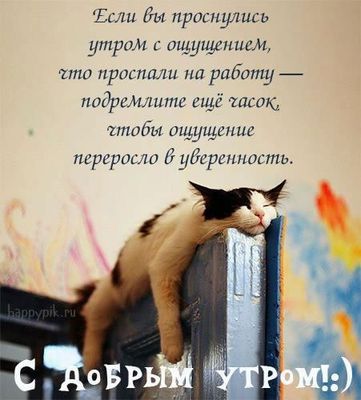 Открытка «С добрым утром»: С добрым утром! Кот и приятное опоздание. Тэги: кот, животное, пожелание, юмор, утро…