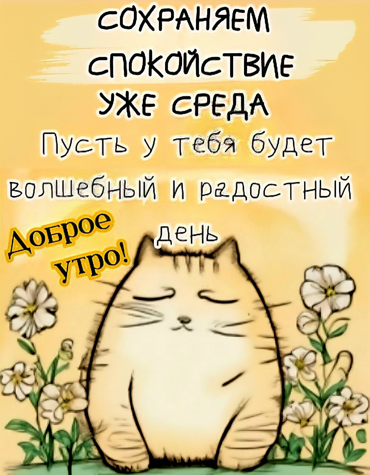 Открытка «С добрым утром»: Доброе утро среды! Волшебный день с милым котом. Тэги: кот, животное, пожелание, позитивная…