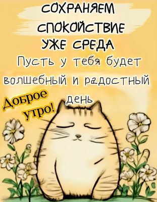 Открытка «С добрым утром»: Доброе утро среды! Волшебный день с милым котом. Тэги: кот, животное, пожелание, позитивная…