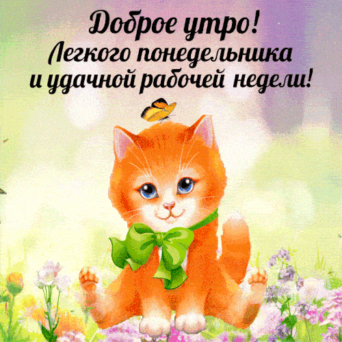 Открытка «С добрым утром»: Доброе утро! Легкий понедельник с милым котенком и цветами. Тэги: кот, животное, пожелание…
