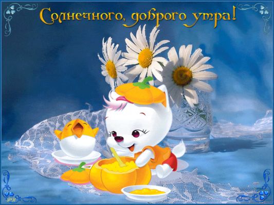 Открытка «С добрым утром»: Солнечное утро с милым котенком и цыпленком. Тэги: кот, животное, пожелание, позитивная…