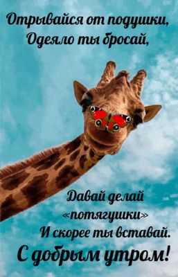 Открытка «С добрым утром»: С добрым утром от жирафа в очках-бабочках!. Тэги: животное, пожелание, позитивная, отлично…
