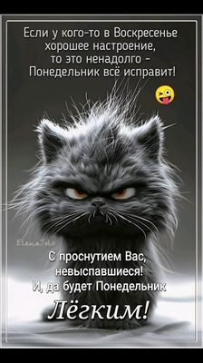 Открытка «С добрым утром»: С добрым утром, невыспавшиеся! Пусть Понедельник будет лёгким!. Тэги: кот, животное…