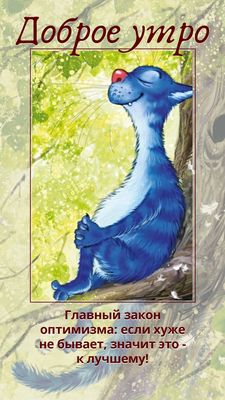 Открытка «С добрым утром»: Доброе утро! Пушистый оптимист желает хорошего дня. Тэги: кот, животное, пожелание, отличн…