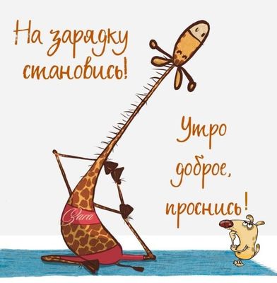 Открытка «С добрым утром»: Утренний позитив: зарядка и просыпайся!. Тэги: животное, пожелание, юмор, прикольная…