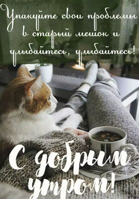 Открытка «С добрым утром»: С добрым утром: уютный кот, чай и позитивное начало!. Тэги: кот, животное, пожелание…