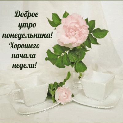 Открытка «С добрым утром»: Доброе утро понедельника: нежное начало недели!. Тэги: пожелание, позитивная, утро, красив…