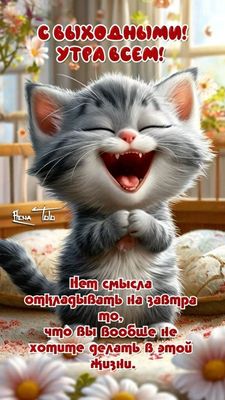 Открытка «С добрым утром»: Доброе утро выходных! Весёлый котёнок и вдохновение. Тэги: кот, животное, пожелание…