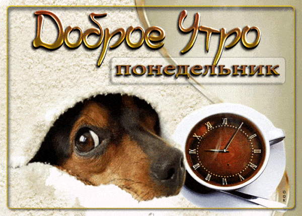 Открытка «С добрым утром»: Доброе утро, понедельник! Пёсик, кофе и уют. Тэги: животное, пожелание, утро, кофе, позитив…