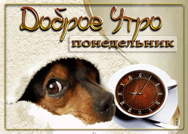 Открытка «С добрым утром»: Доброе утро, понедельник! Пёсик, кофе и уют. Тэги: животное, пожелание, утро, кофе, позитив…