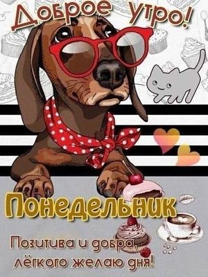 Открытка «С добрым утром»: Доброе утро, понедельник! Позитива и добра. Тэги: кот, животное, пожелание, юмор, прикольн…