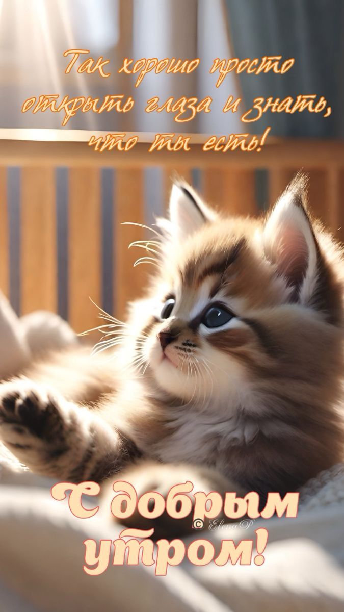 Открытка «С добрым утром»: С добрым утром! Знать, что ты есть – вот это счастье!. Тэги: кот, животное, пожелание…