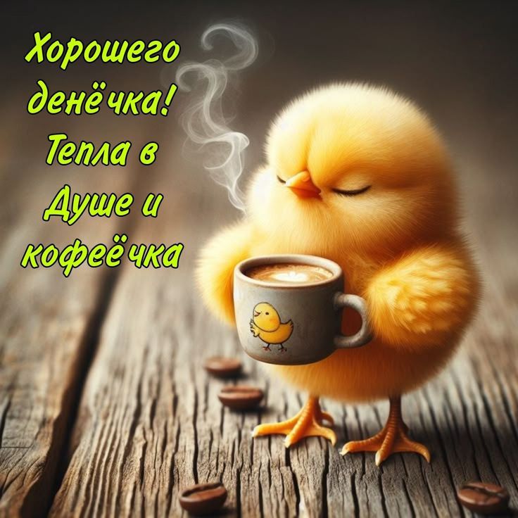 Открытка «С добрым утром»: С добрым утром! Милый цыпленок с кофе и теплом в душе. Тэги: пожелание, позитивная, хороше…
