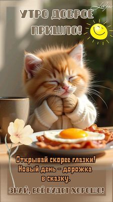 Открытка «С добрым утром»: Доброе утро: котёнок, уют и новый день в сказку!. Тэги: кот, животное, пожелание, отличное…