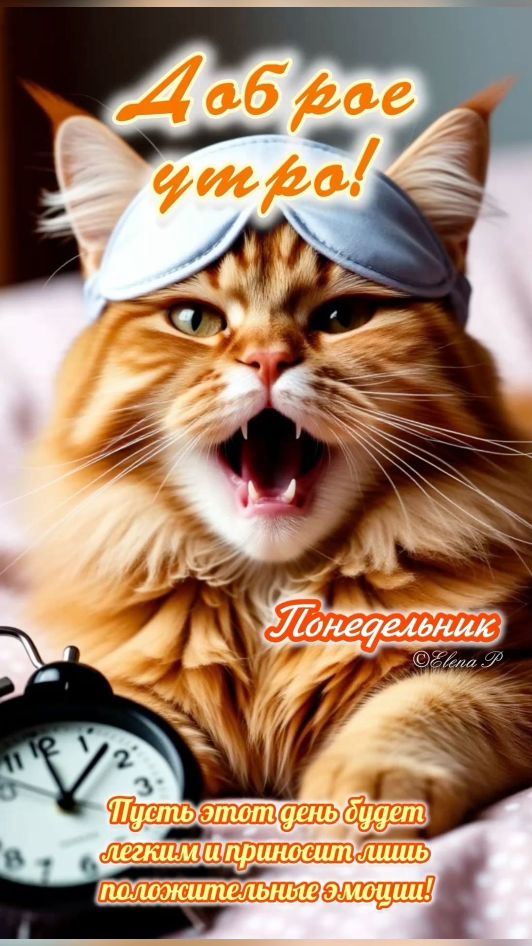 Открытка «С добрым утром»: Доброе утро понедельника: кот, будильник, позитив!. Тэги: кот, животное, пожелание, позити…