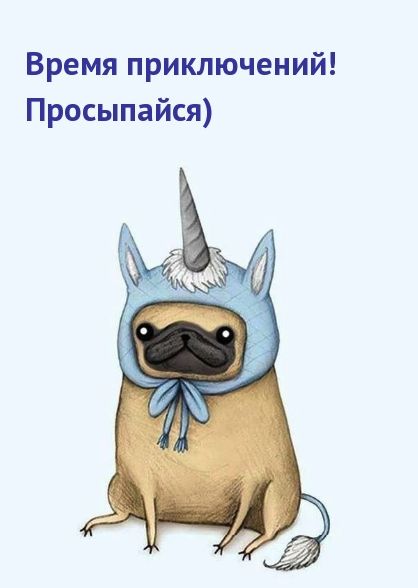 Открытка «С добрым утром»: С добрым утром! Время приключений с мопсом-единорогом. Тэги: животное, пожелание, позитивн…