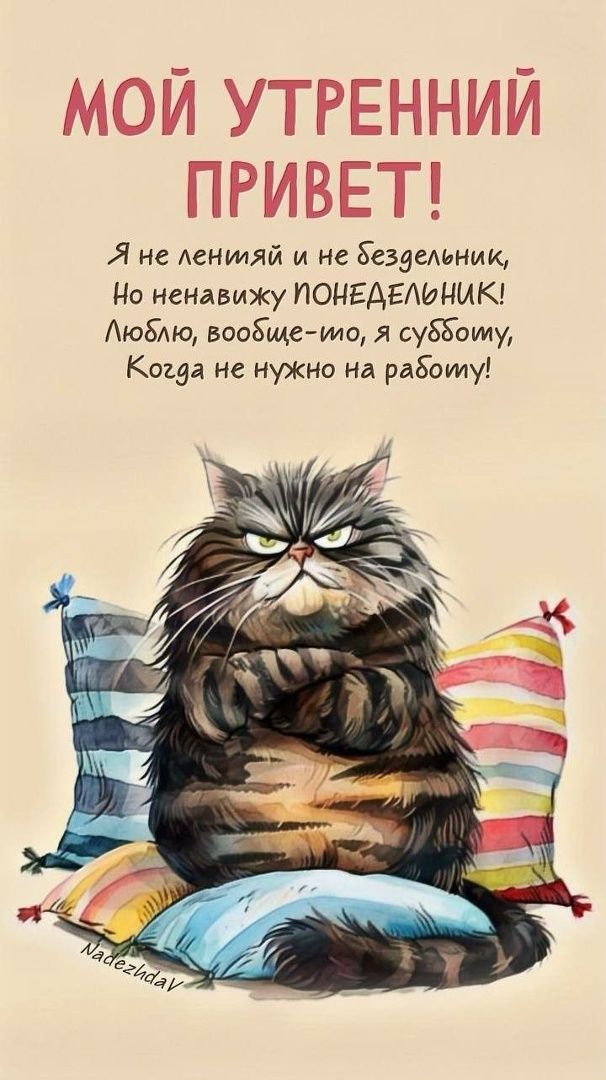 Открытка «С добрым утром»: Мой утренний привет: Ненавижу понедельник!. Тэги: кот, животное, пожелание, позитивная…