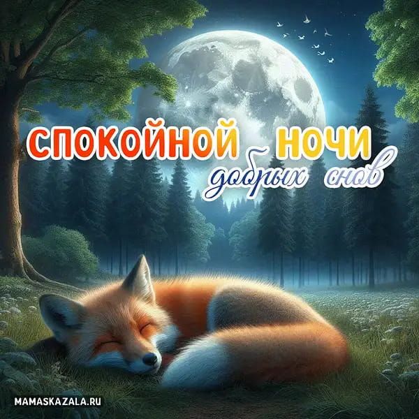 Открытка «С добрым утром»: С добрым утром: нежность природы и сладкие сны. Тэги: животное, пожелание, позитивная, утро…