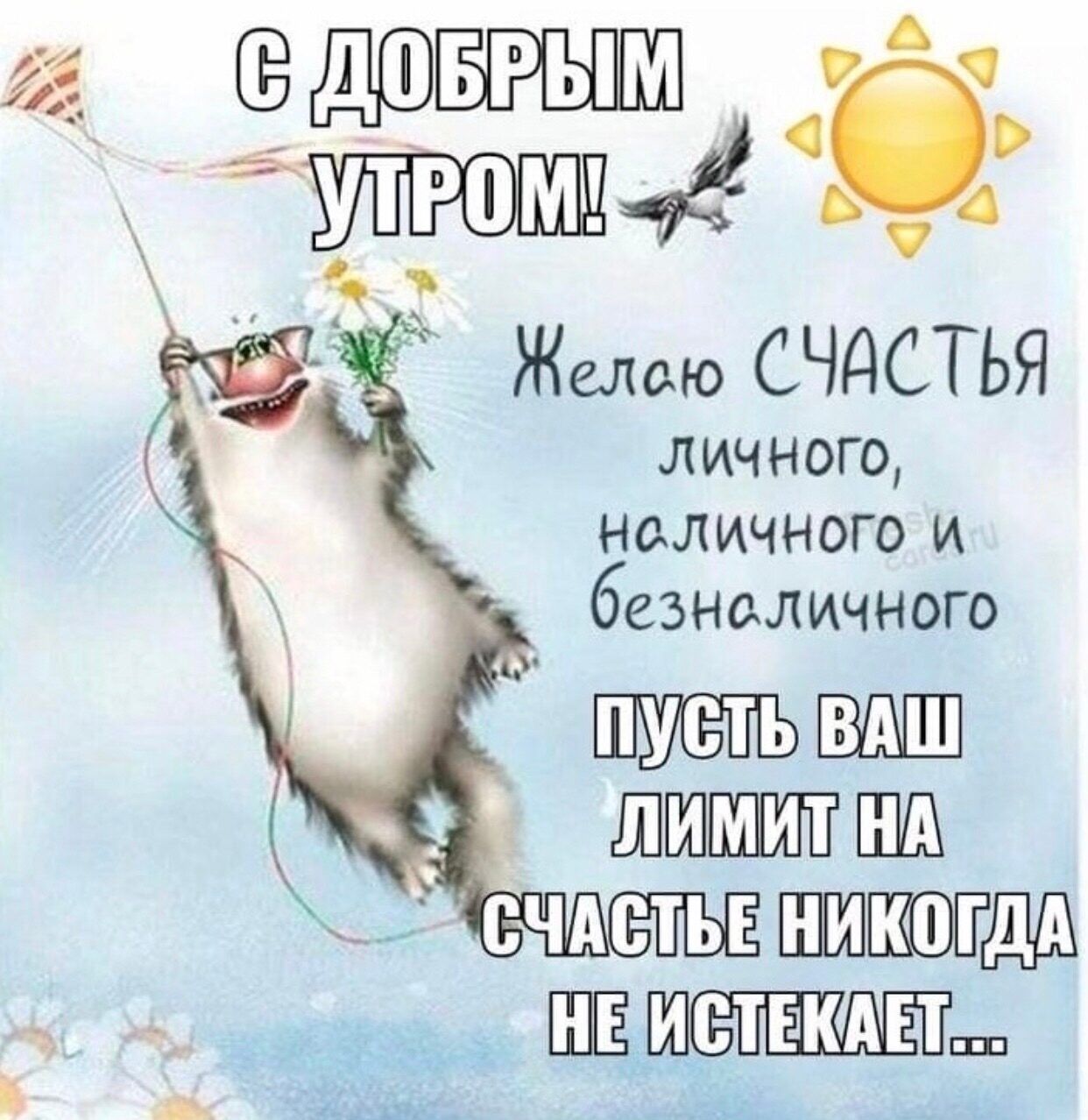 Открытка «С добрым утром»: С добрым утром: счастья личного, наличного, безналичного!. Тэги: кот, животное, пожелание…