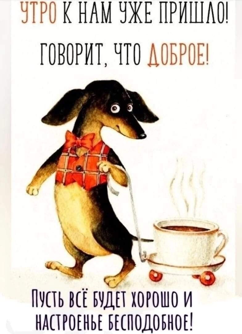 Открытка «С добрым утром»: Доброе утро! Такса принесет хорошее настроение и кофе!. Тэги: животное, пожелание, позитив…