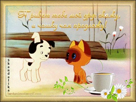 Открытка «С добрым утром»: С добрым утром, друг! Приглашаю на чай. Тэги: животное, пожелание, позитивная, отличное на…