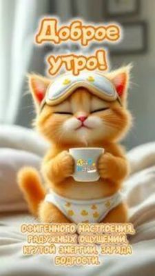 Открытка «С добрым утром»: Доброе утро! Котёнок желает энергии и настроения. Тэги: кот, животное, пожелание, хорошего…