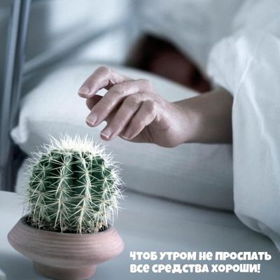 Открытка «С добрым утром»: С добрым утром: Острый способ проснуться!. Тэги: пожелание, позитивная, юмор, прикольная…