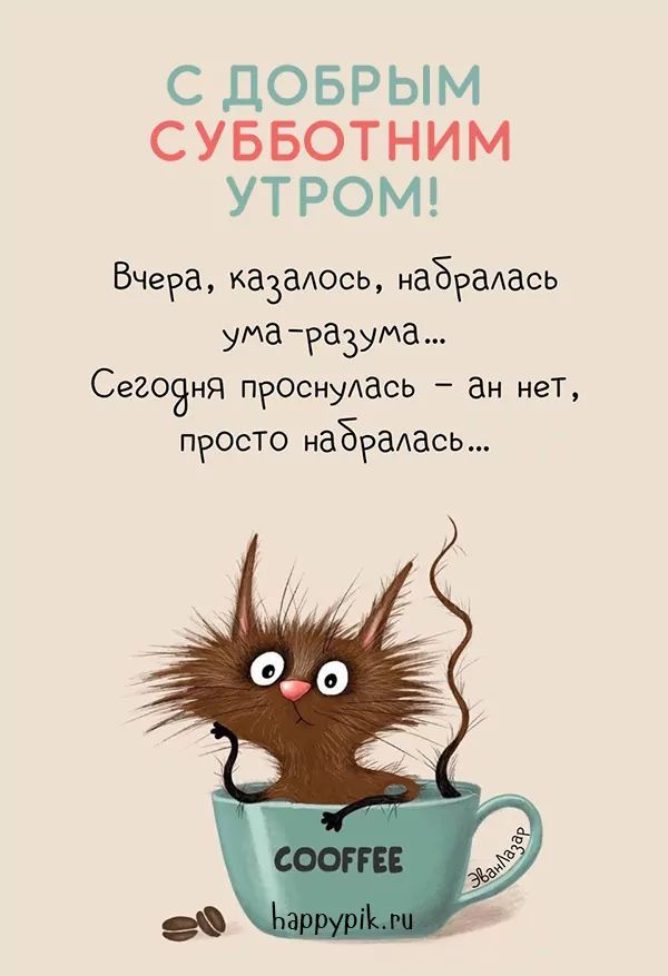 Открытка «С добрым утром»: С добрым субботним утром: кот в кофе и юмор!. Тэги: кот, животное, пожелание, позитивная…