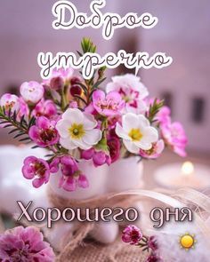 Открытка «С добрым утром»: С добрым утром! Нежные цветы и хорошего дня. Тэги: пожелание, позитивная, хорошего дня…